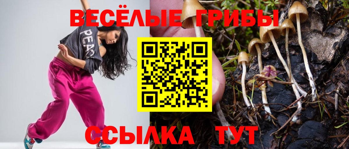 Унеча  Псилоцибиновые грибы прущие грибы  Вход с VPN  Псилоцибиновые грибы ЛСД 